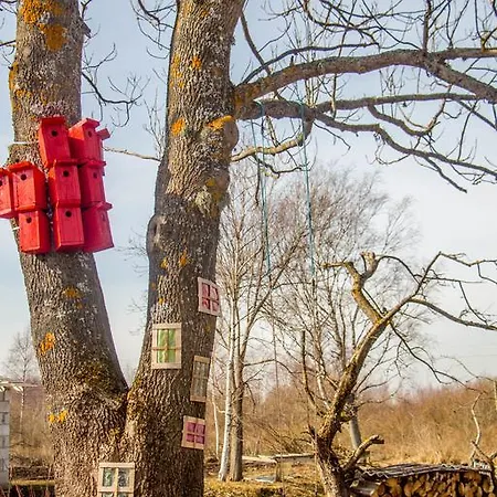 Külalistemaja Mesi Tare Varnja