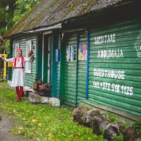 Külalistemaja Mesi Tare Varnja