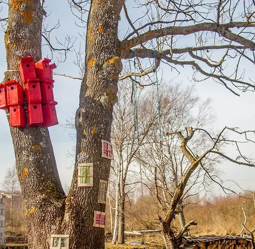 Penzion Mesi Tare Varnja